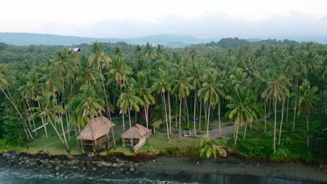 Drone-Aéreo-De-Una-Autocaravana-Estacionada-En-Una-Playa-Rodeada-Por-Un-Campo-De-Cocoteros-Y-Bungalows-En-Una-Playa-De-Arena-Negra-De-Bali-Indonesia-Durante-El-Amanecer