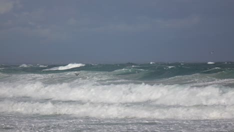 seagulls flying above the waves