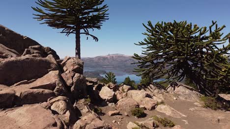 antena reveladora del magnífico paisaje natural con lago y montañas a lo lejos, ubicación de grabación patagonia, argentina, sudamérica