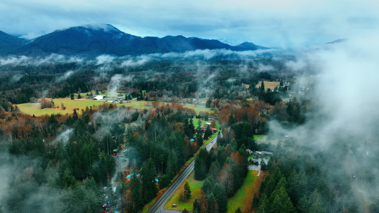 Green forest scenery landscapes. American national park Mount Rainier aerial view.