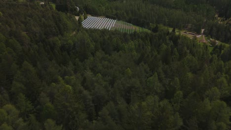 A-dense-forest-with-sunlight-filtering-through-the-treetops,-aerial-view