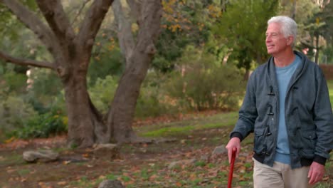 mature gentleman walking in the park