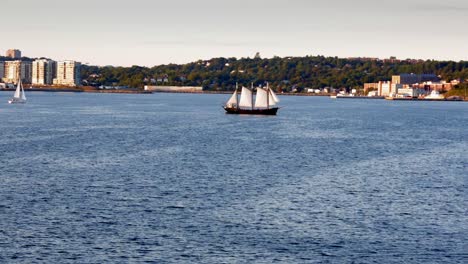 Velero-Barca-De-3-Mástiles-Navegando-En-La-Bahía-De-Halifax-Con-Edificios-Y-árboles-En-El-Fondo