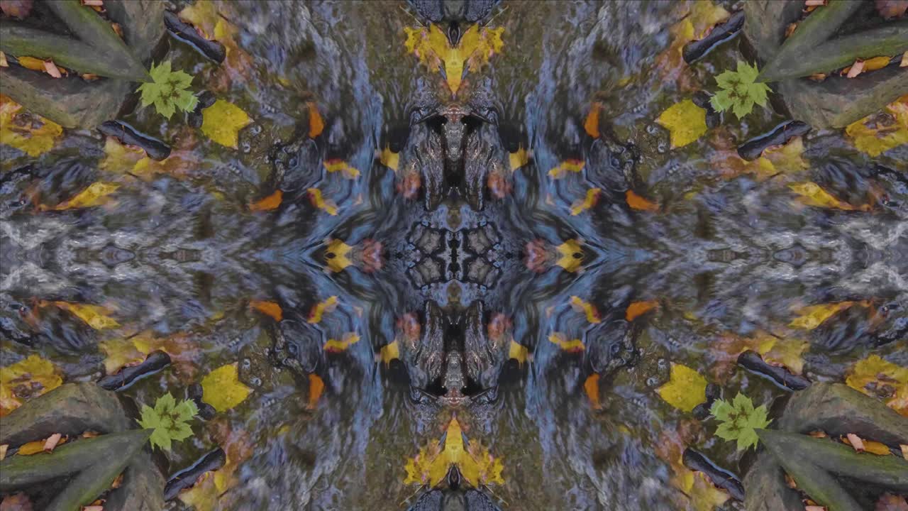 caleidoscopio de naturaleza, bucle, 60 fps, paisaje de wissahickon creek #10