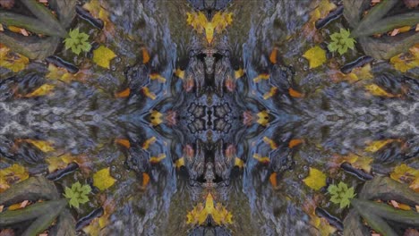 Nature-Kaleidoscope,-Looping,-60fps,-Wissahickon-Creek-Scenery-#10
