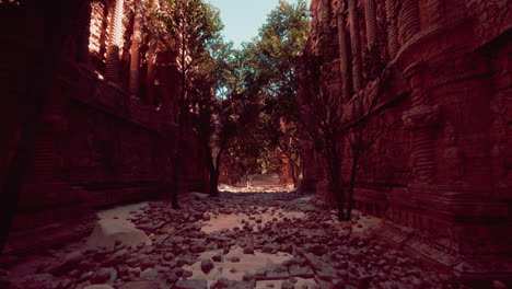 a stone path between buildings