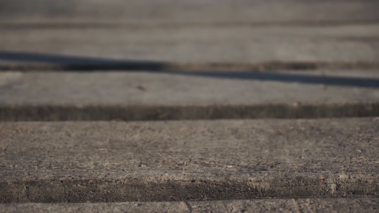 화창한 날에 나무 플랫폼을 드러내는 샷을 기울입니다.