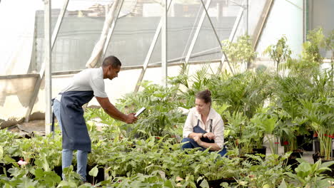 two diverse gardeners in aprons discussing plant care in greenhouse nursery