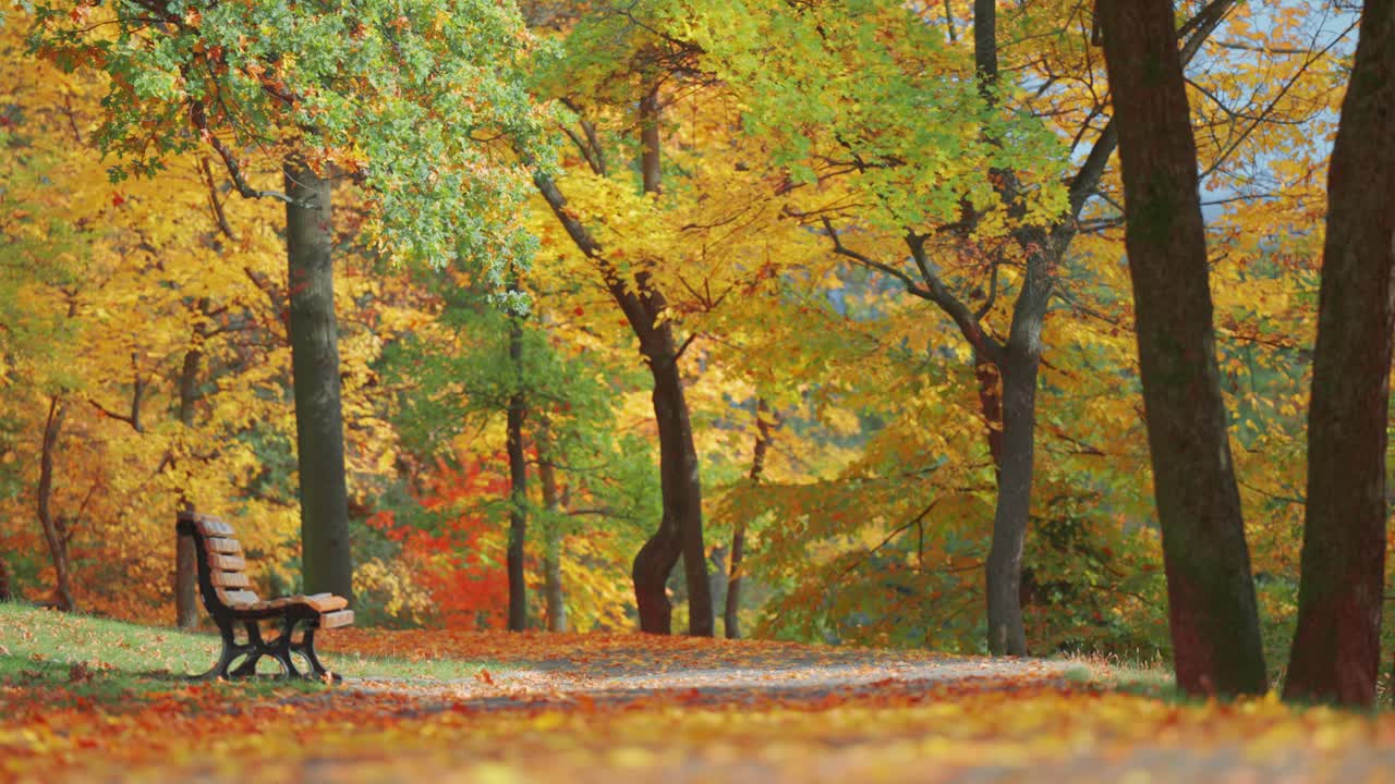 A peaceful autumn park scene in Prague with benches along a path ...