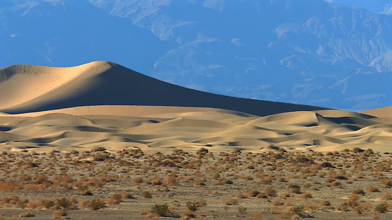 Sand Dunes In Death Valley National Park In California and Nevada, United States. - wide shot