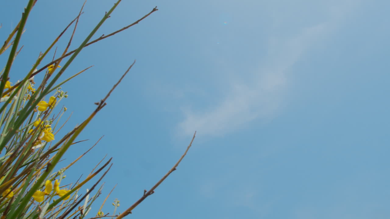 여객기가 착륙하고 있습니다.