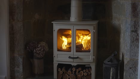 slow motion flames flickering in wood burning stove