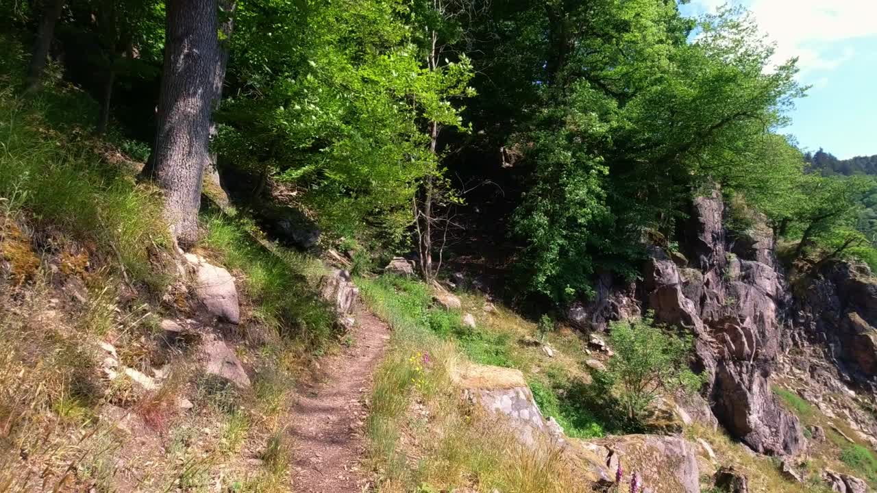 Panning view of beautiful mountainous landscape with hiking path on sunny day, Heidelberg Germany.