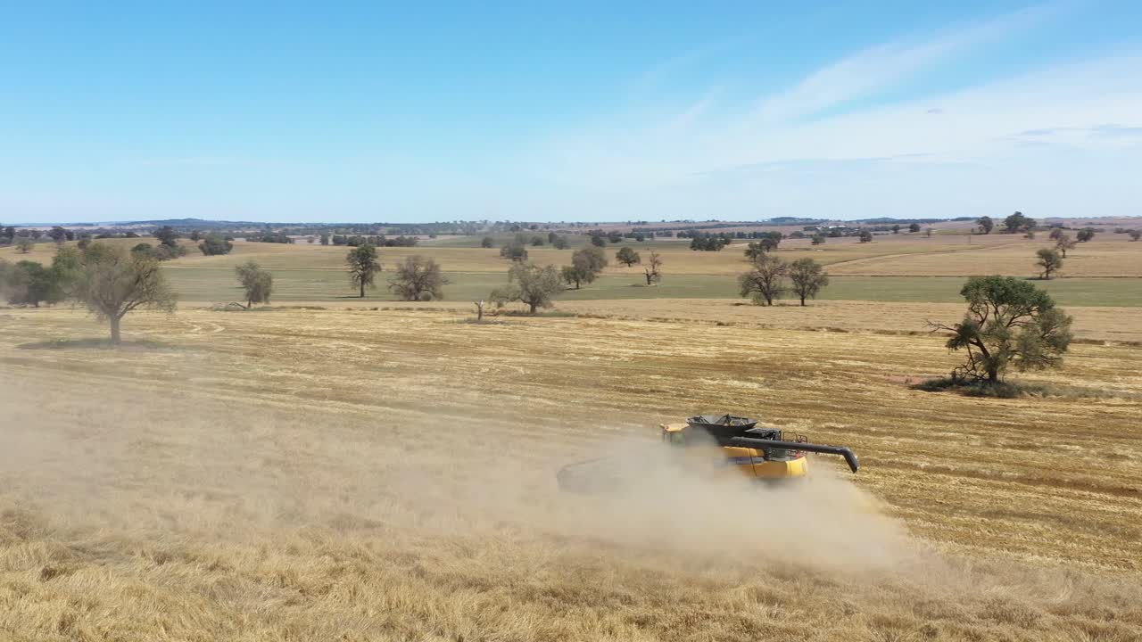 una excelente toma aérea de una cosechadora agrícola levantando polvo y cortando un campo en parkes, nueva gales del sur, australia