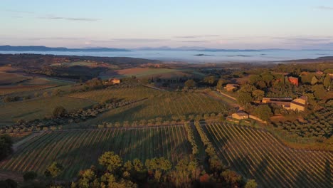 Imágenes-Aéreas-Del-Paisaje-Natural-Hermosas-Colinas-Bosques-Campos-Y-Viñedos-De-Toscana,-Italia-Durante-El-Amanecer