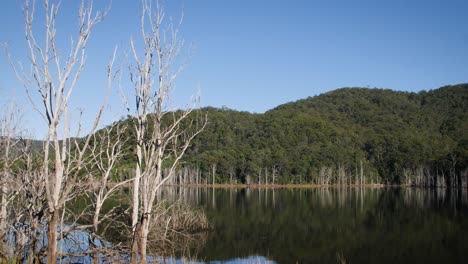 Lago-Con-Montañas-De-Fondo-Temprano-En-La-Mañana