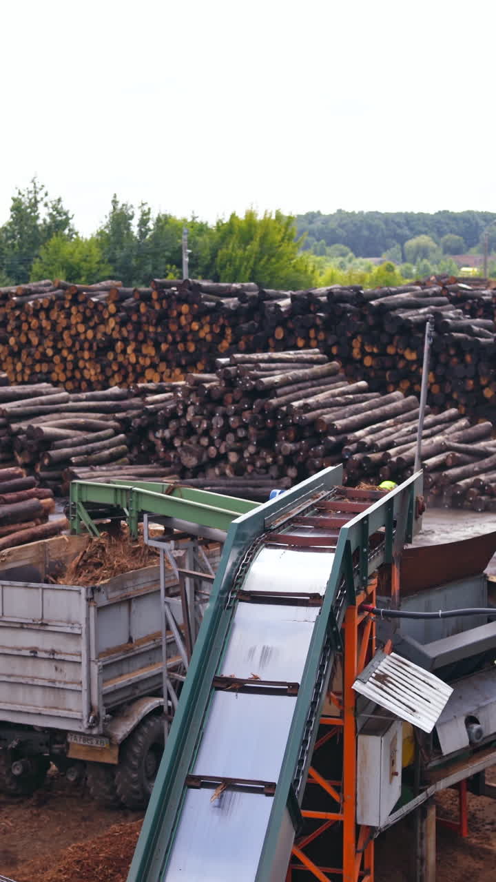 Wood working industry. Stock with logs. Sawmill. Process of machining logs on a conveyor. outdoor video. Vertical video