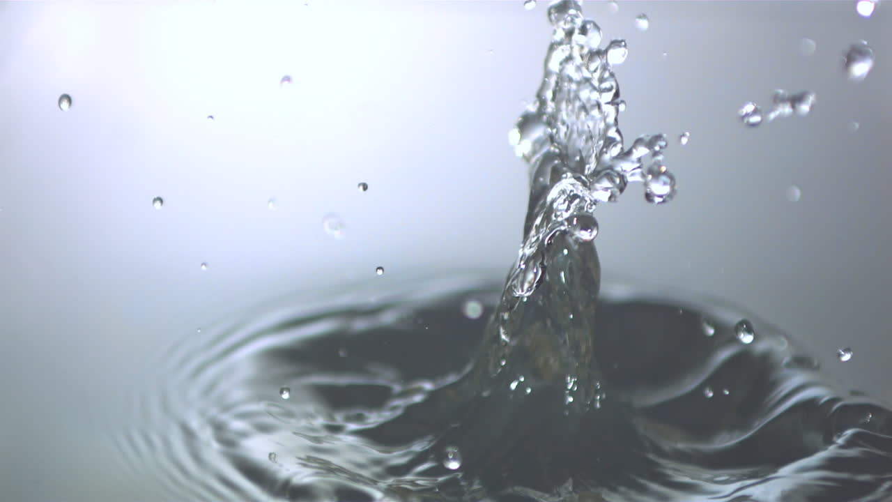 물에 떨어지는 버섯