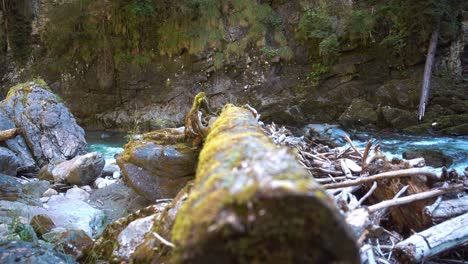 a-blue,-cold-and-clear-mountain-river-flows-through-a-gorge-in-the-alps-with-a-tree-trunk-in-the-foreground