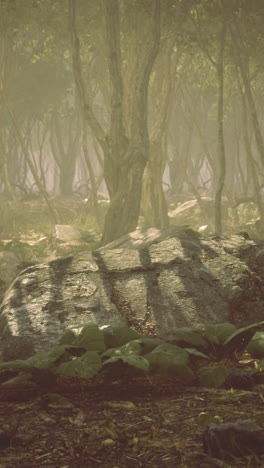 enchanted forest bathed in golden light during early morning hours