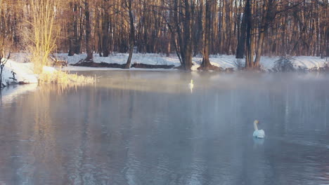 Nebliger-Fluss-Im-Winterpark.-Winterbäume-Ohne-Blätter.-Land,-Das-Mit-Schnee-Bedeckt-Ist