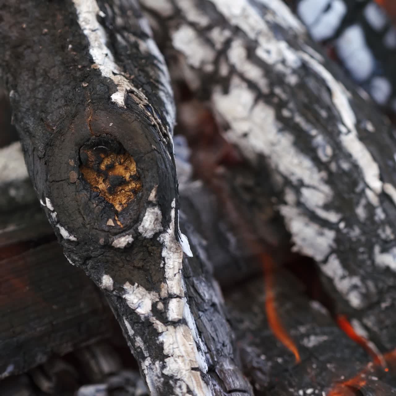 Smoldering logs background. Wood is burning in fire for barbecue. Combustion of wood. Wood turning into charcoal in fire. Close-up.