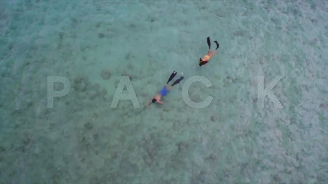 Snorkeling in a tropical ocean