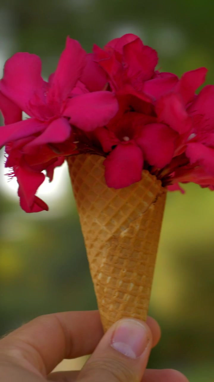 Giro con un bouquet estivo rosso in un cono waffle