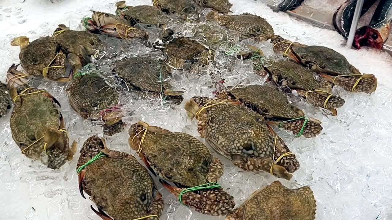 Live crabs displayed for sale with their legs and claws tied to prevent escape. Placed on ice to maintain freshness and quality.