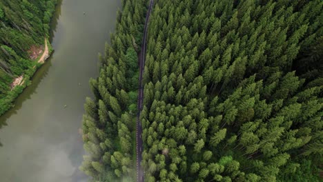 empty road in between pine trees, mysterious lake aerial