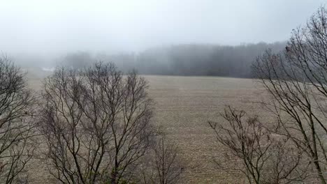 aerial in fog in farm field over treetops in yadkin county nc, north carolina in winter