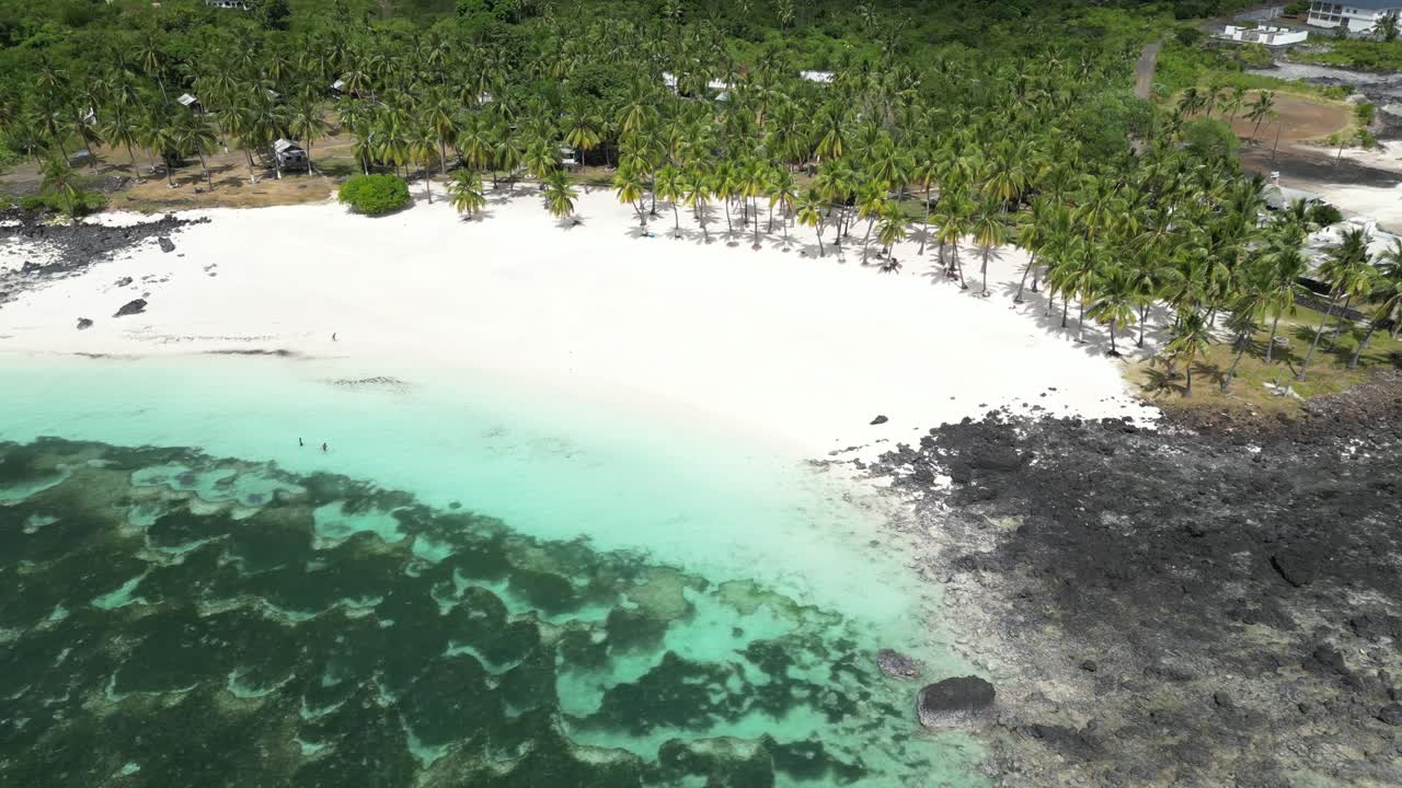Riprese drone di una spiaggia incontaminata costeggiata da palme e acqua cristallina turchese