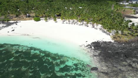 drone footage of a pristine beach lined with palm trees and clear turquoise water
