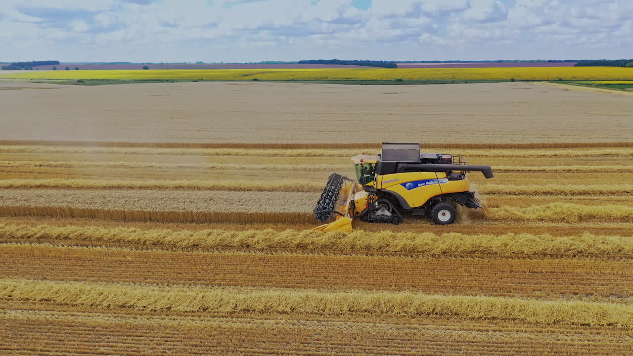 Combine Machine Harvesting Crop. Combine harvester working during harvest time on the farmer fields