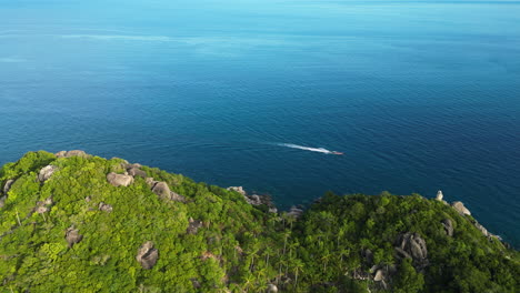 vista aérea de un barco turístico de crucero en el océano a lo largo de la costa verde de koh tao, tailandia