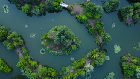 Top-Down-View-Of-Fishing-Pond-On-A-Gloomy-Day-In-Norfolk,-England---drone-shot