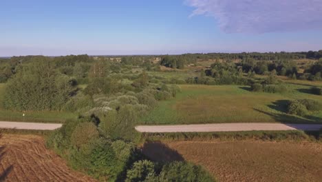 Weiße-Winde-Fliegt-An-Einem-Sonnigen-Sommertag