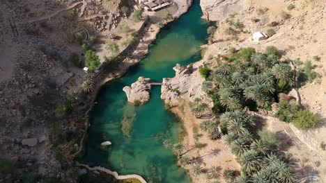 foto aérea del oasis de wadi beni khalid con agua turquesa y palmeras en el sultanato de omán