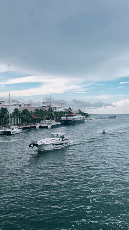 tropical waterfront scene with yachts and boats