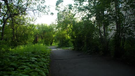 park alleyway on a sunny day