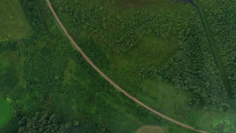 un dron aéreo alto disparó sobre un lago rodeado de densa vegetación verde en un día nublado