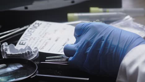forensic dental lab technician checks teeth molding evidence report