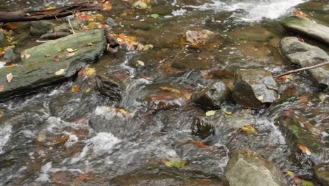 Water-streams-over-rocks-and-branches,-Wissahickon-Creek