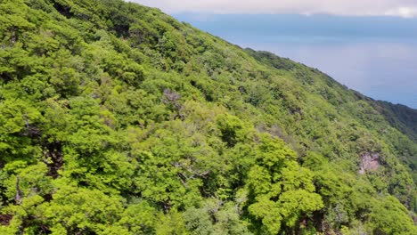 aerial view of the forest fanal in madeira