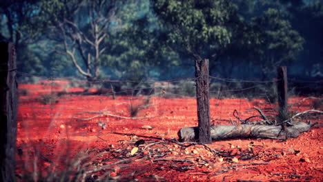 barbed wire fence in deserted landscape