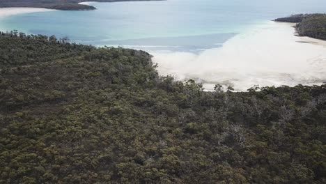 Drone-footage-backward-tilt-up-green-island-beach