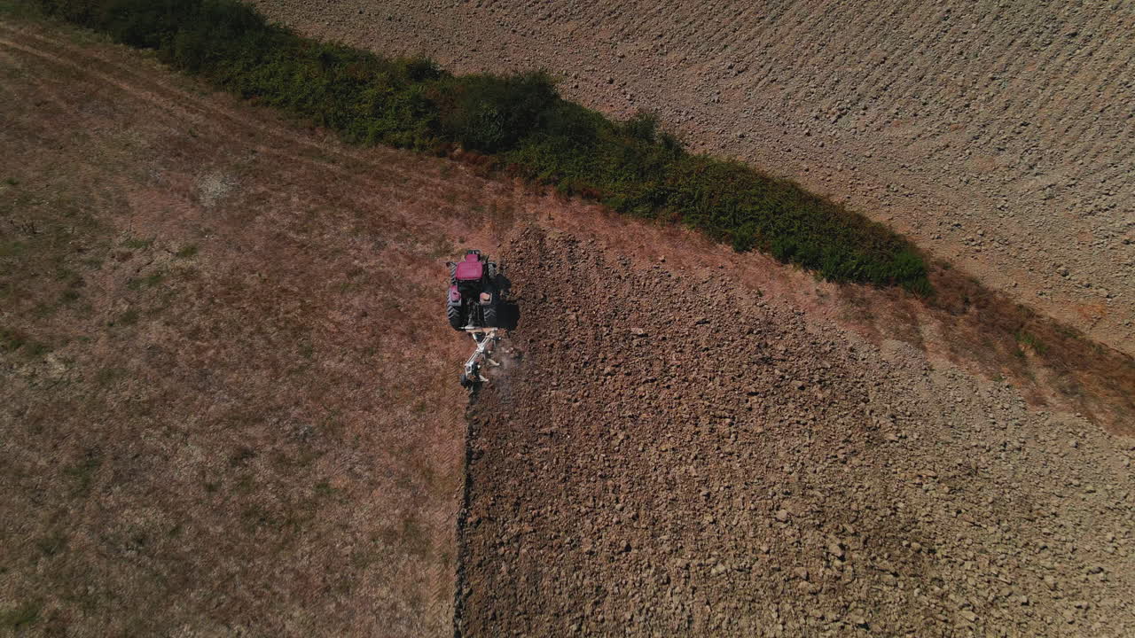 Vista dall'alto di un agricoltore alla guida di un trattore in un vigneto che ara il campo e semina di giorno in un campo in Toscana, Italia