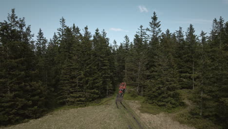 Drone-shot-of-young-scouts-in-orange-shirts-walking-out-of-the-forest-on-to-the-clearing