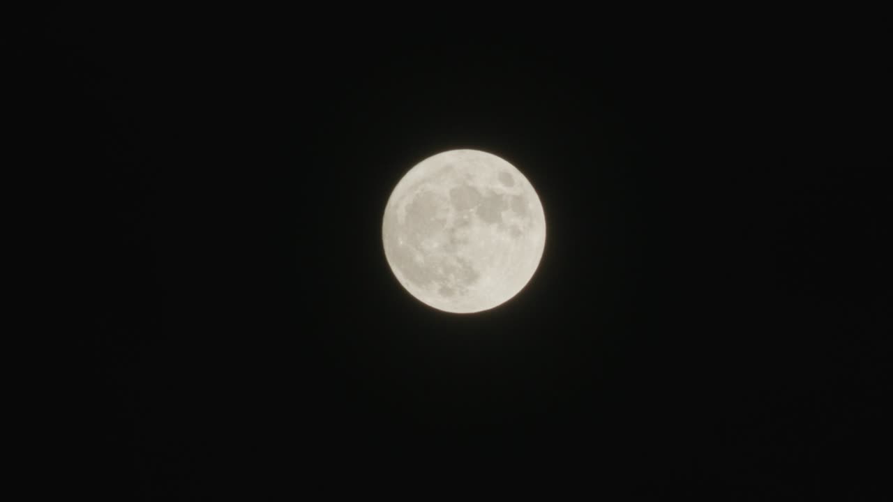 Full Moon Night