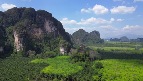 Lush-green-forest-is-covering-the-valley-floor-below-towering-limestone-mountains-in-krabi,-thailand